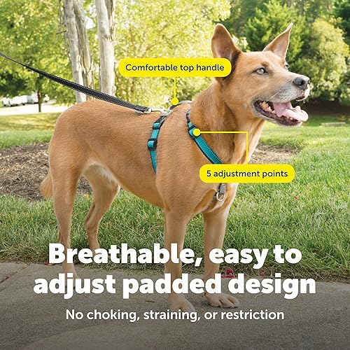 Miniatura 4 de PetSafe Arnés 3 en 1 – Cómodo arnés de pecho para perro fácil de caminar con accesorio de correa frontal para reducir tirones, asfixia y arcadas
