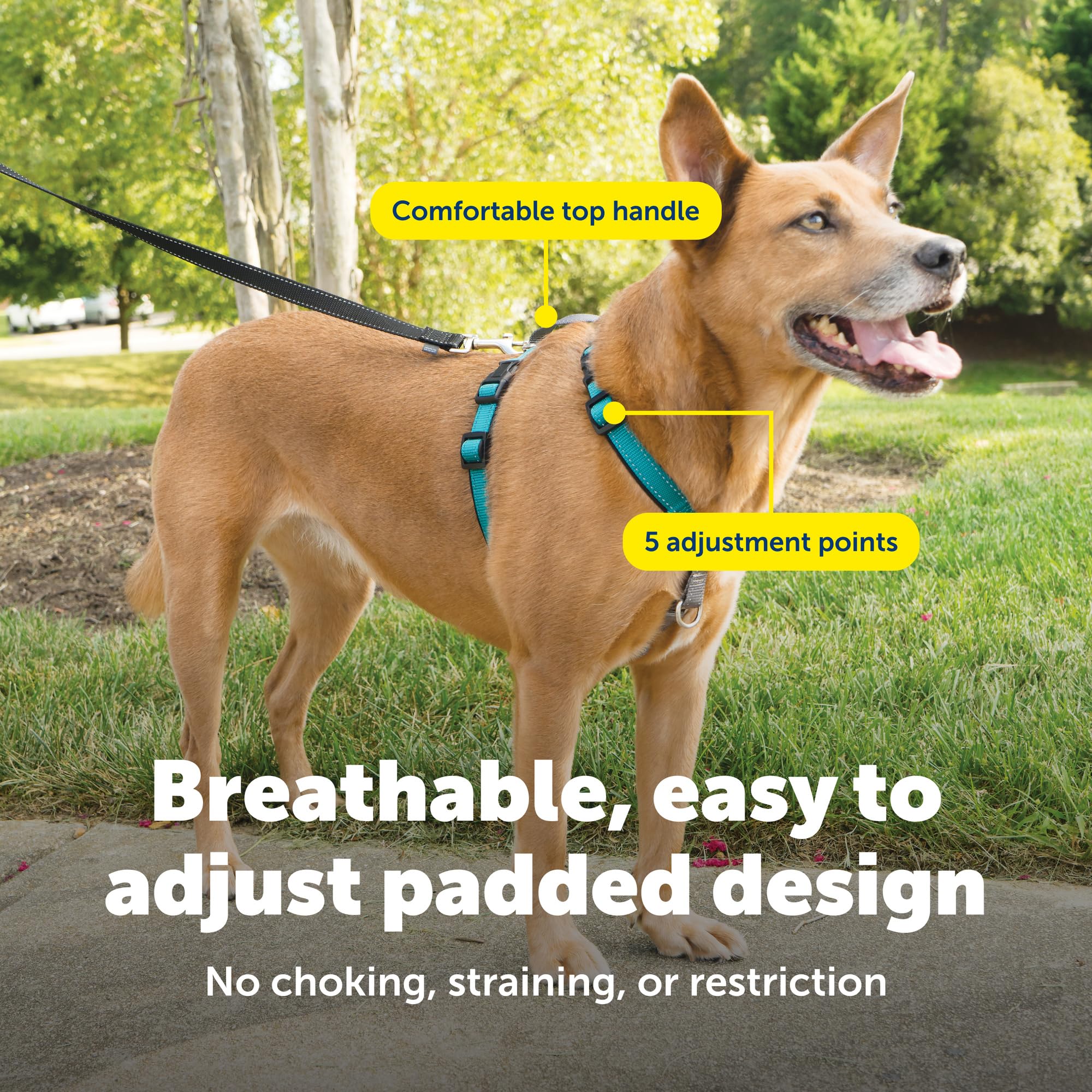 PetSafe Harnais 3 en 1 et retenue de Voiture - Taille M - Bleu Sarcelle - Pas de Traction - Réglable - Entraînement pour Chiens de Petite, Moyenne et Grande Taille