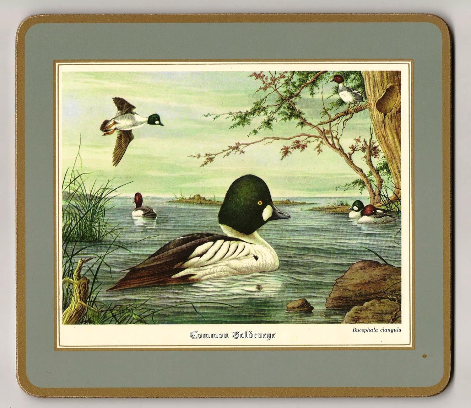 Pimpernel VINTAGE Placemats Water Birds, Set of Four Small Luncheon (85/8 X 75/8