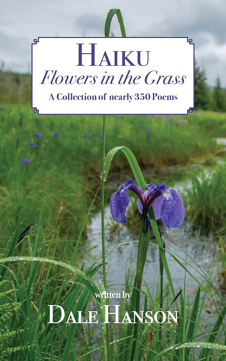 Haiku–Flowers in the Grass