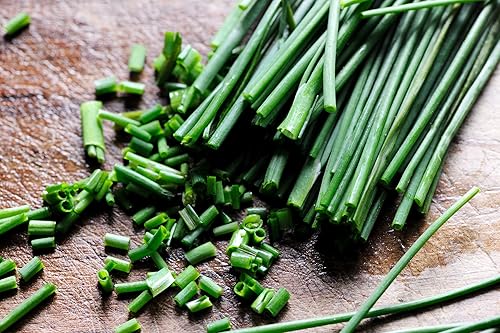 Miniatura 4 de Gaea's Blessing Semillas de cebollino (1000 semillas) Semillas sin OMG con instrucciones de plantación fáciles de seguir - Heirloom de polinización