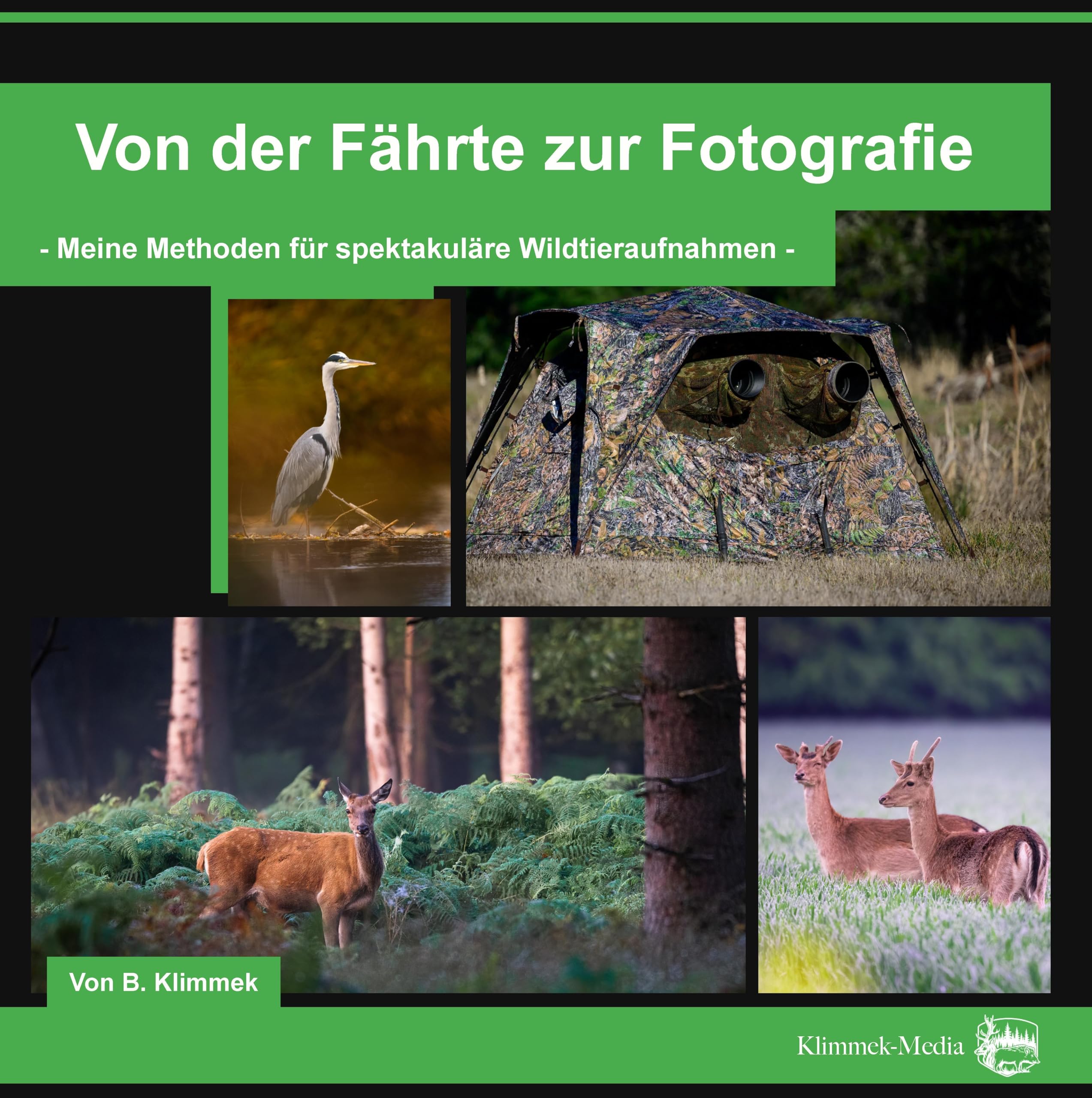 Photographie animalière méthode de pistage et guide d'observation de la faune sauvage