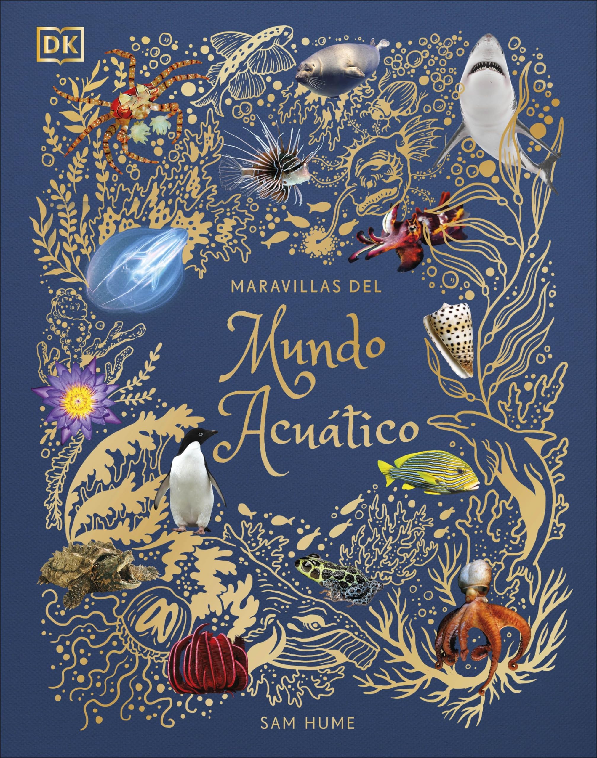 Maravillas del mundo acuático (Planeta curioso) (DK Infantil)
