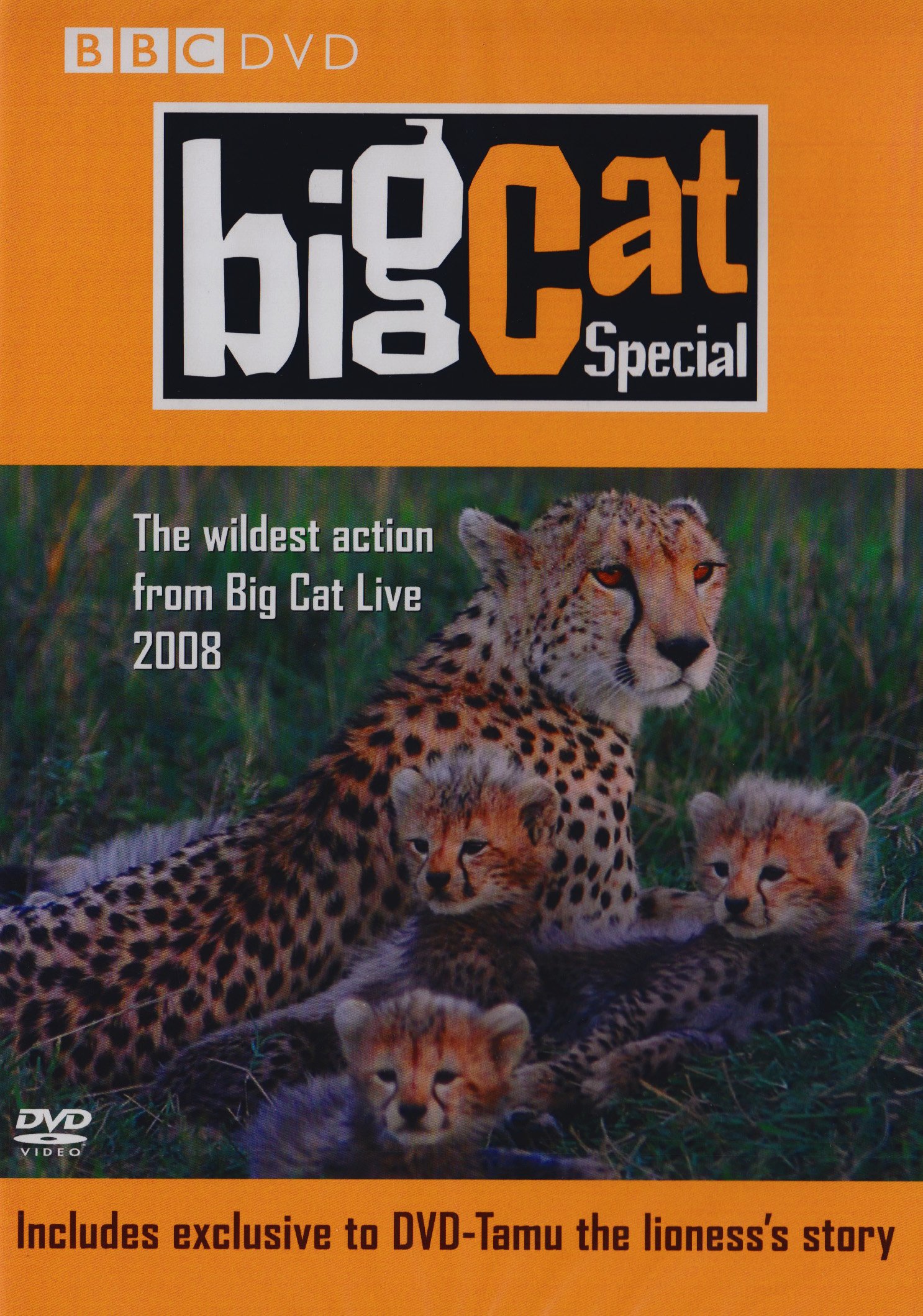 Big Cat Special [DVD]: Amazon.co.uk: DVD & Blu-ray