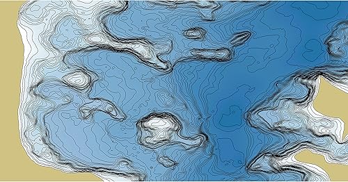 Vista 29 de Humminbird LakeMaster Map SD Card for Fish Finders