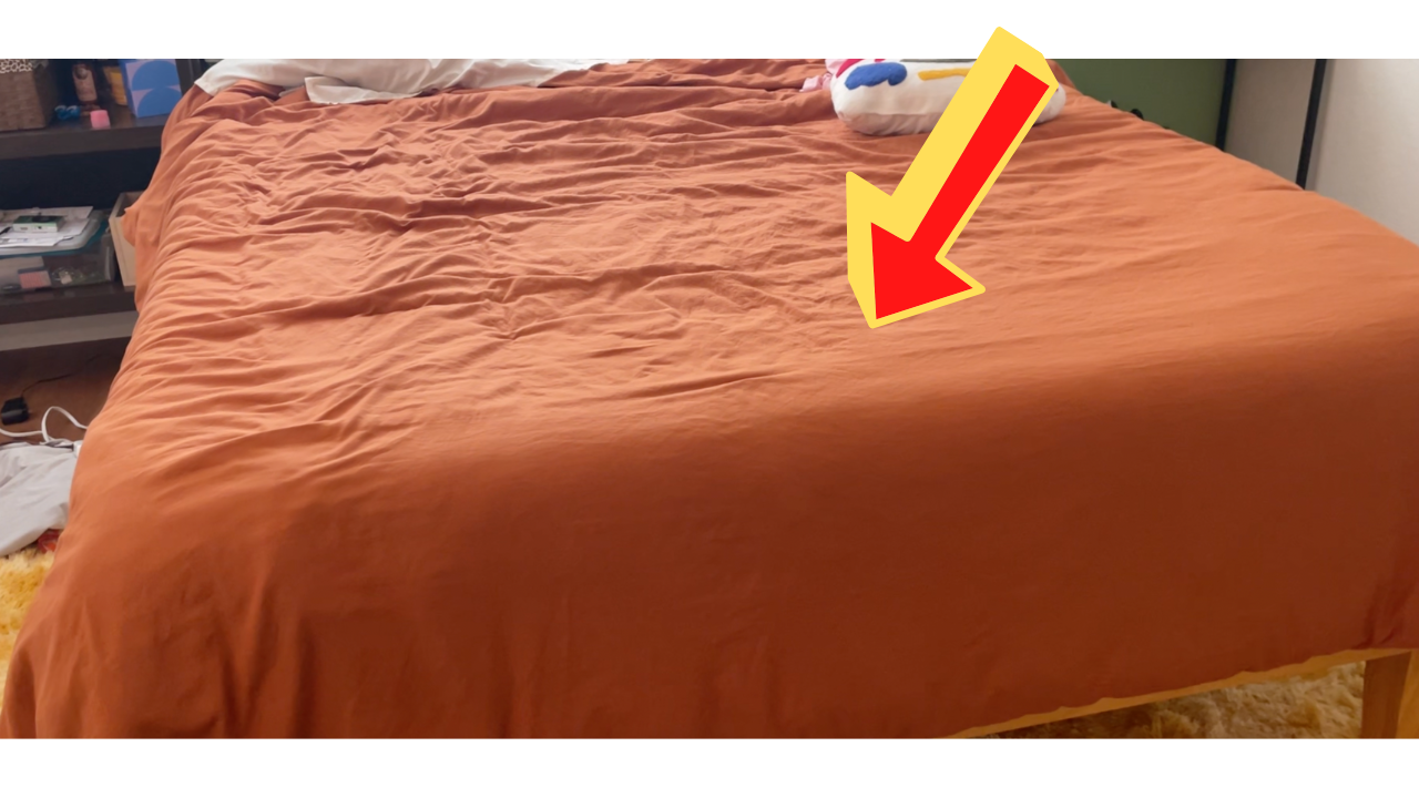 Why I LOVE this Duvet Cover!
