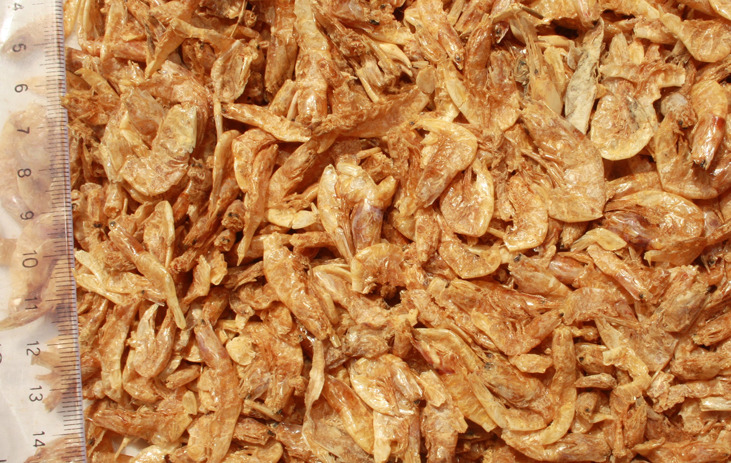 Koifutter Sommer, Garnelen, Koi Gambas, Riesen Shrimps, getrocknete große Süßwassergarnelen, Koifutter Naturnahrung, gesunder, beliebter Koisnack für die Handfütterung der Koi im Sommer 10kg Sack