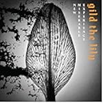 New Miserable Experience