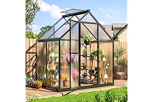 Greenhouse 6x6: Outdoor Gardening Oasis