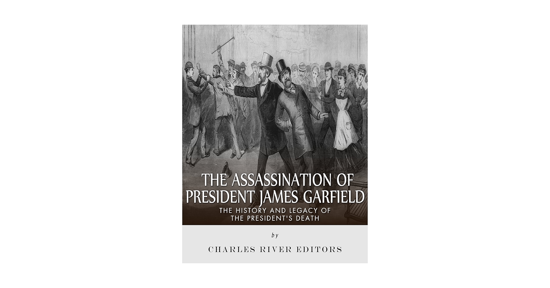 Amazon.com: The Assassination of President James Garfield