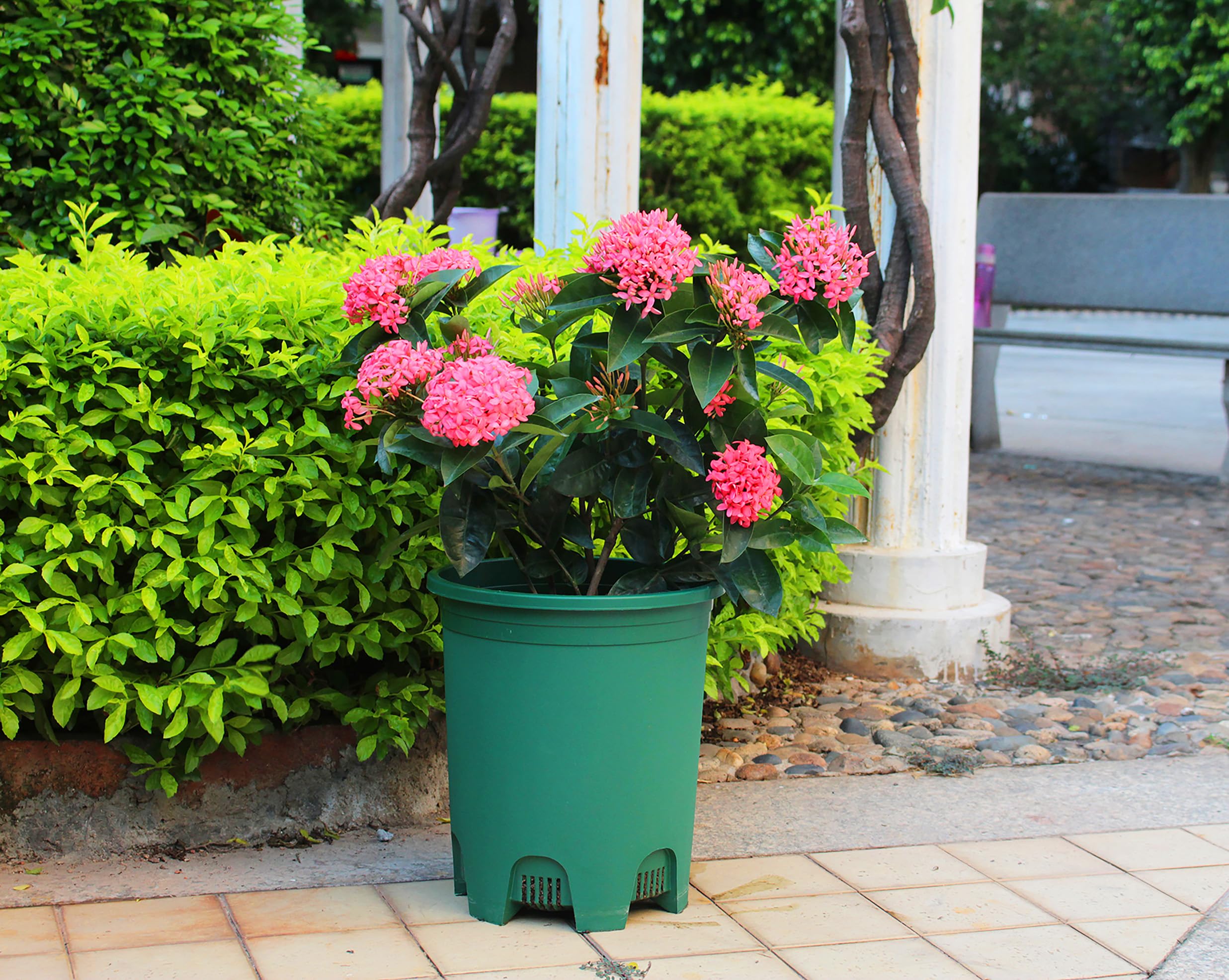 Amazon.com: 5 加侖6 件組綠色大型植物花盆苗圃盆栽塑膠花盆適用於戶外