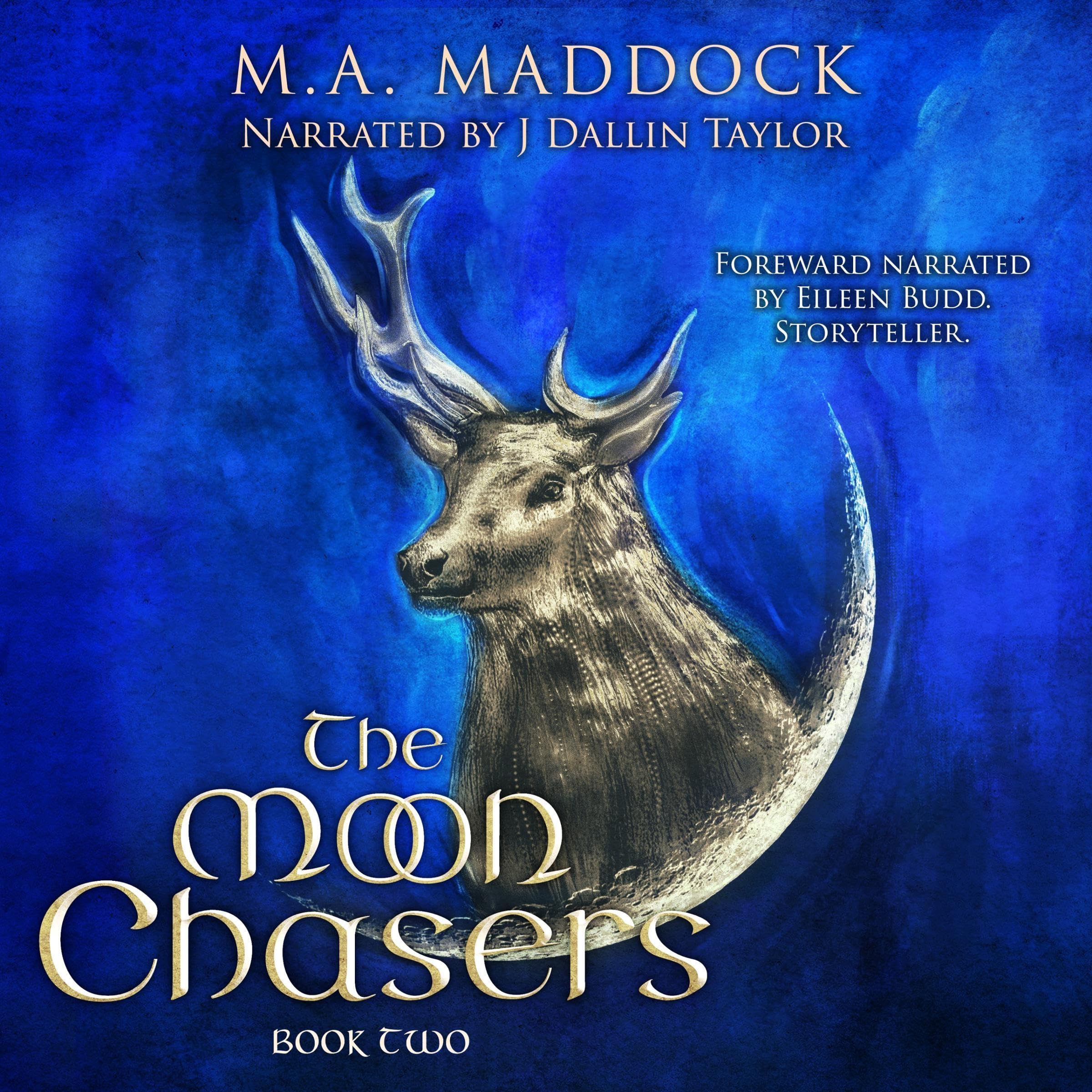 Cover art for The Moon Chasers