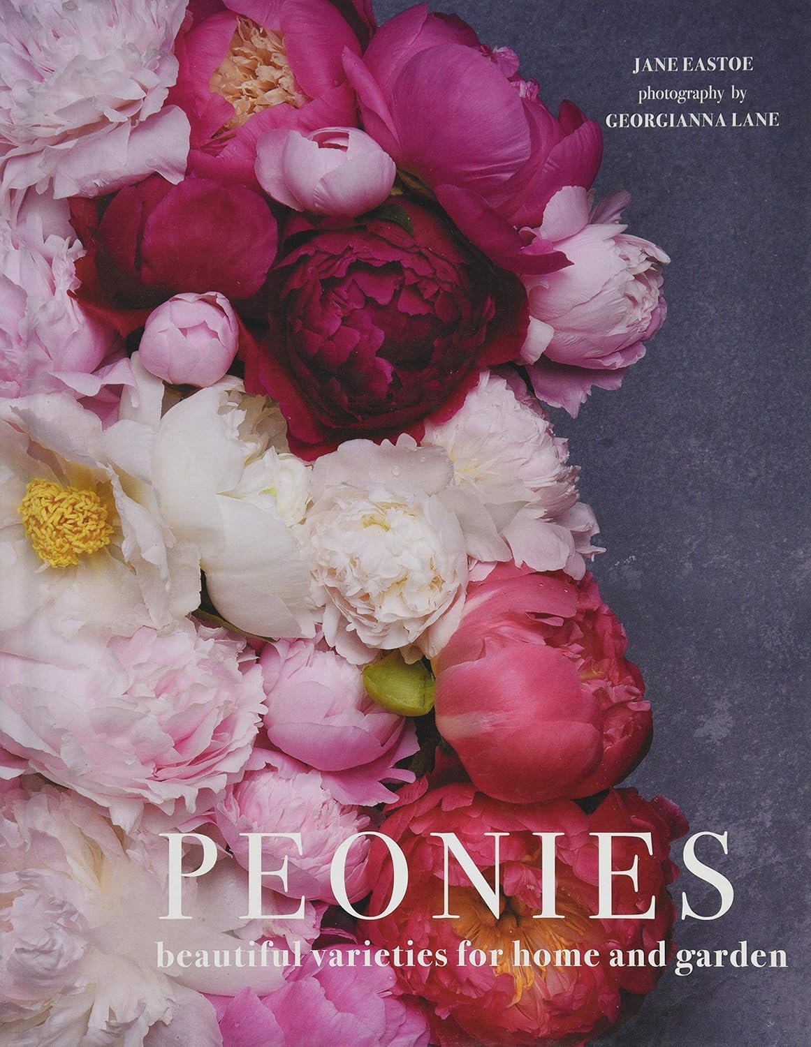Peonies Beautiful Varieties for Home &