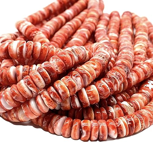 Miniatura 5 de ABCGEMS Gulf of California - Cuentas de concha de ostra espinosa rojo rubí  entre Baja California y México continental (parte blanca mínima) estilo