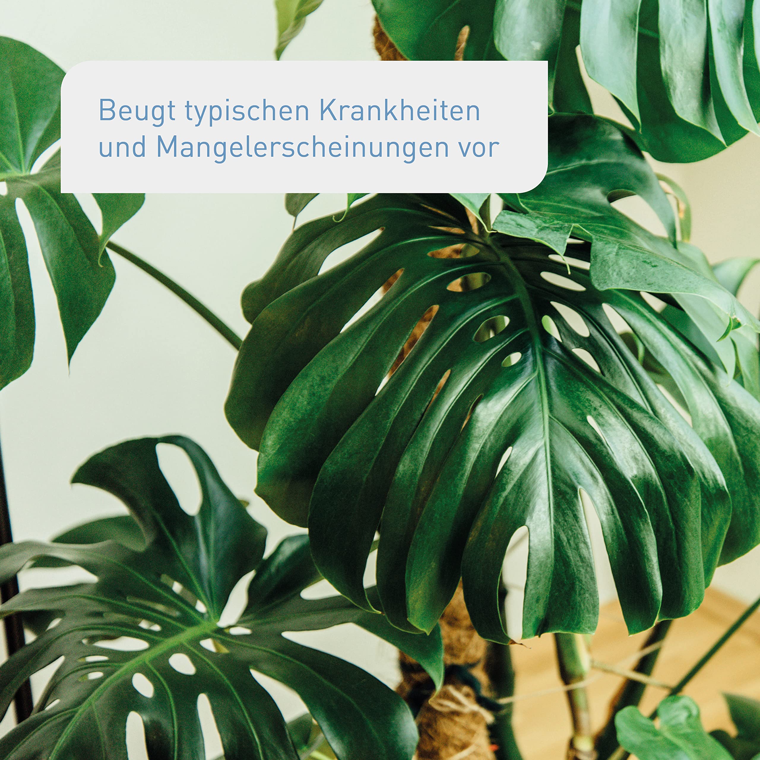 Plantura Bio-Zimmerpflanzendünger, hochwirksamer Flüssigdünger für Zimmerpflanzen, Grünpflanzen & Palmen, rein organisch, mit Dosierhilfe, 800 ml
