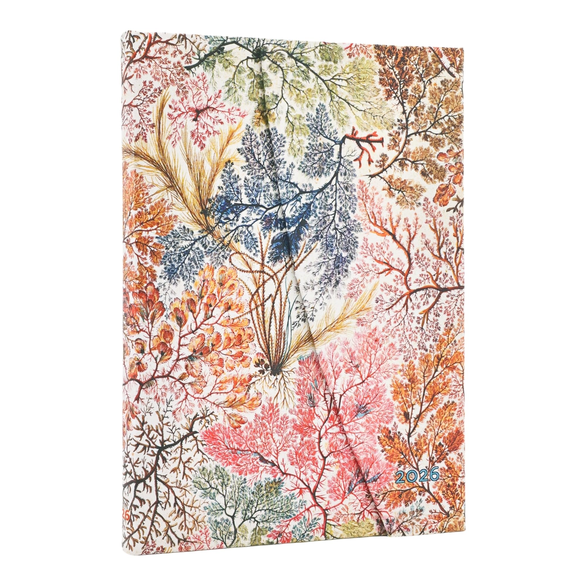 Paperblanks 2026 Anemone William Kilburn 12 Month Calendar Midi Verso with Folding Envelope 160 Pg 100 GSM