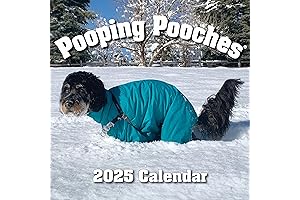 2024's Funniest Doggie Business Calendar