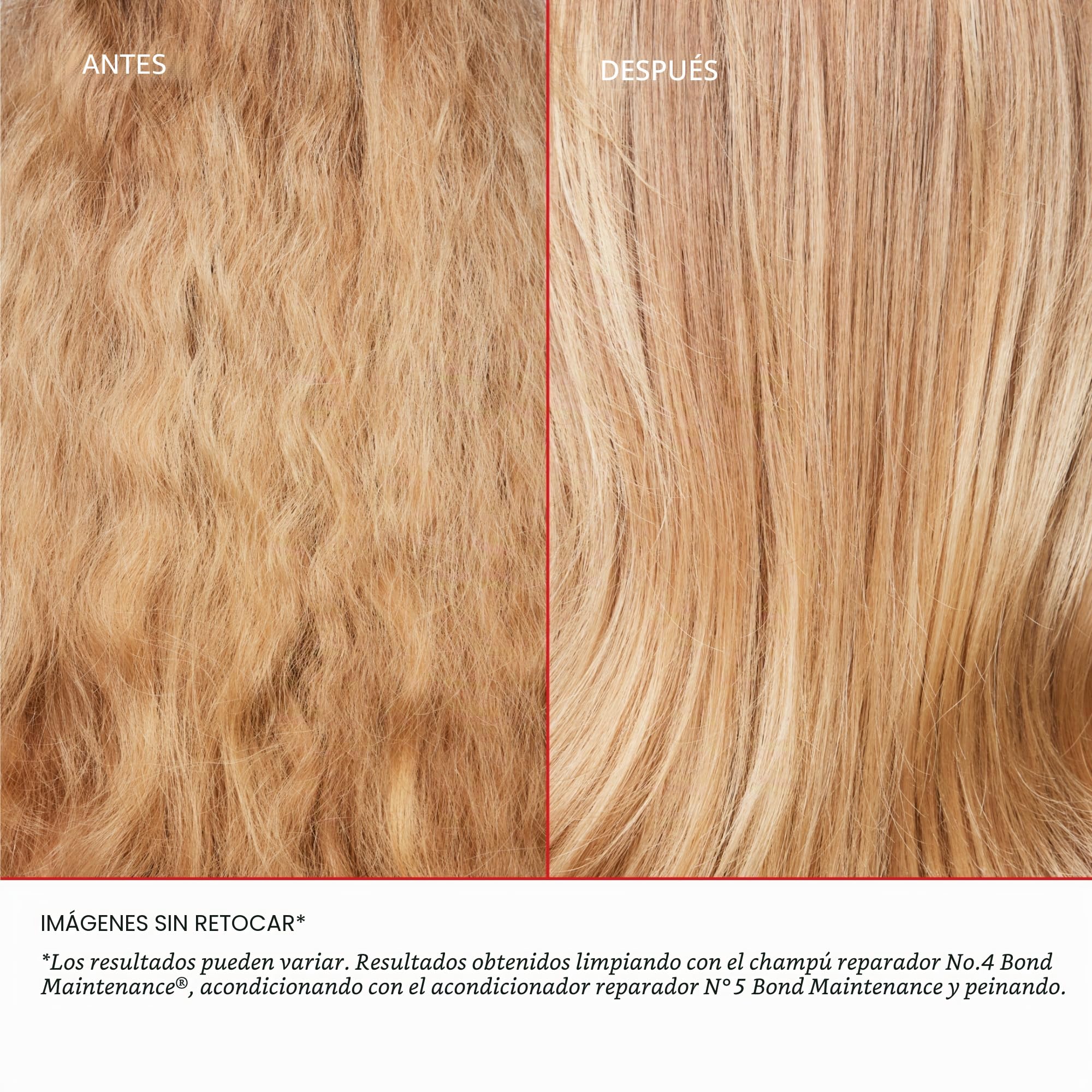 Healthy Hair Discovery Set