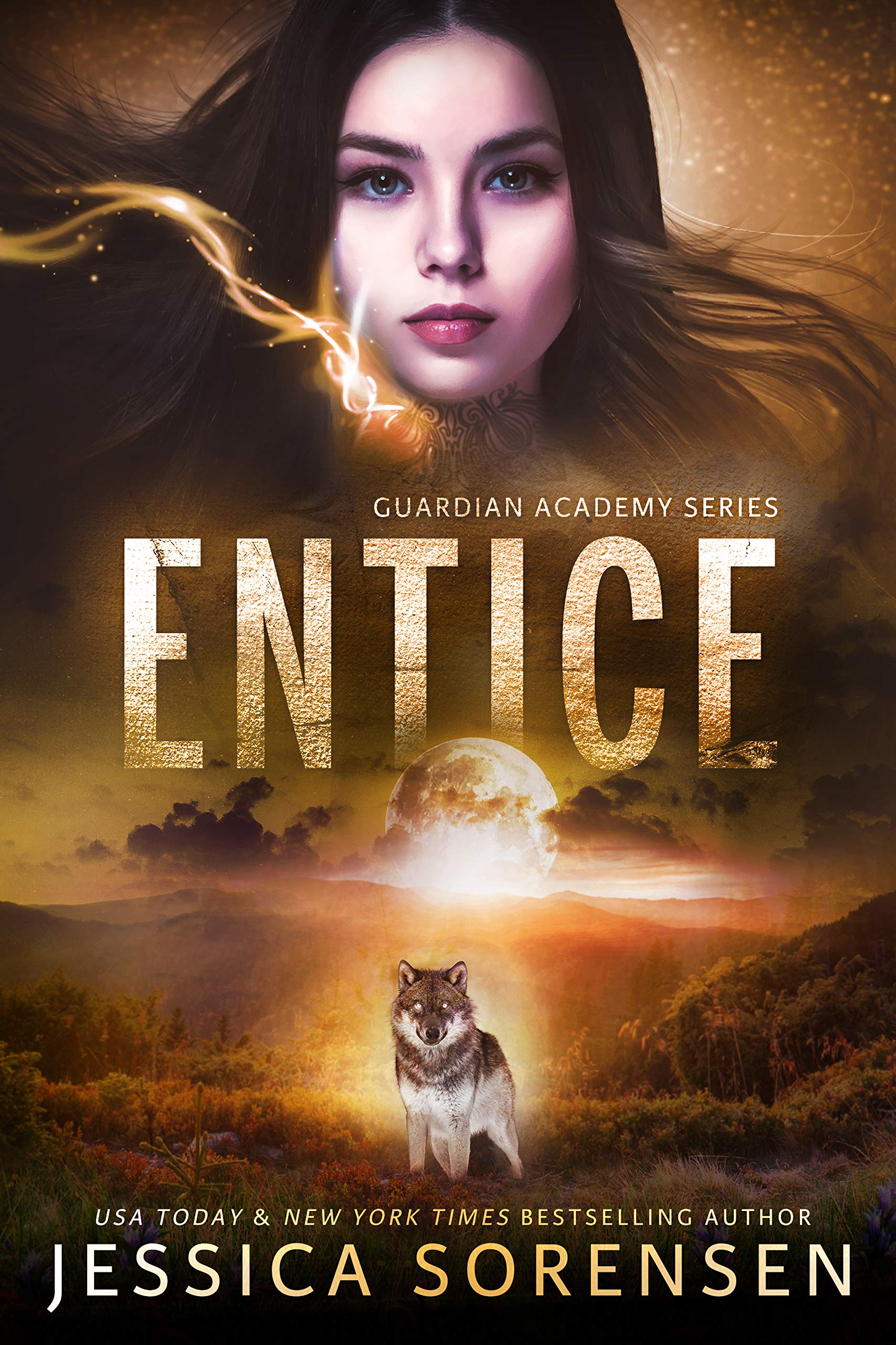 Entice (Guardian Academy Series Book 4)