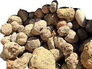 Break Your Own GEODES 40+ geodes - 1"-4" Each Crystal-Filled geodes for only $59.95 by DINOSAURS ROCK