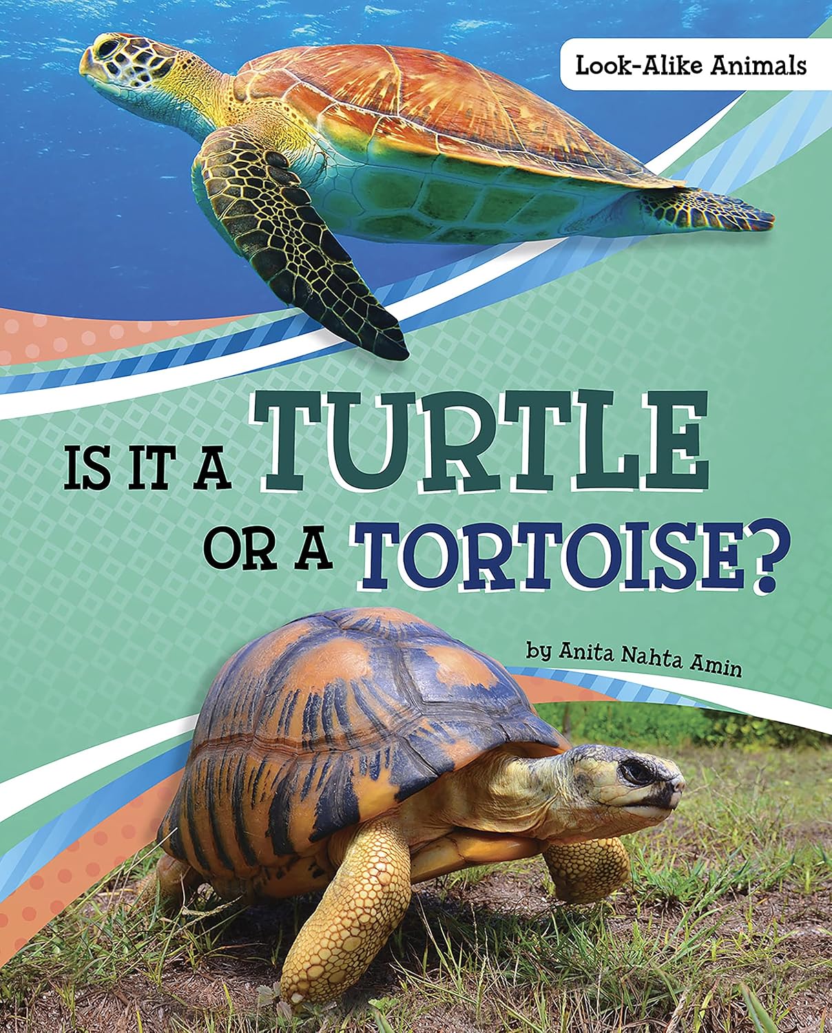 Is It a Turtle or a Tortoise? (Look-Alike Animals)