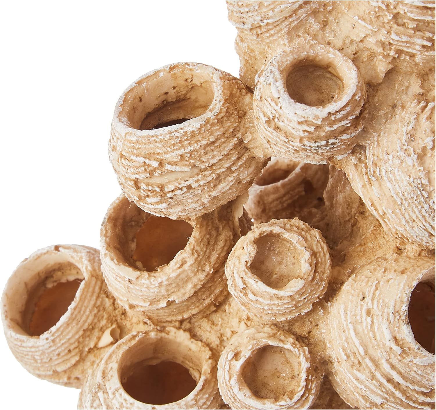 Nobby Bamacles Aquarium Ornaments, 12 x 10 x 12 cm