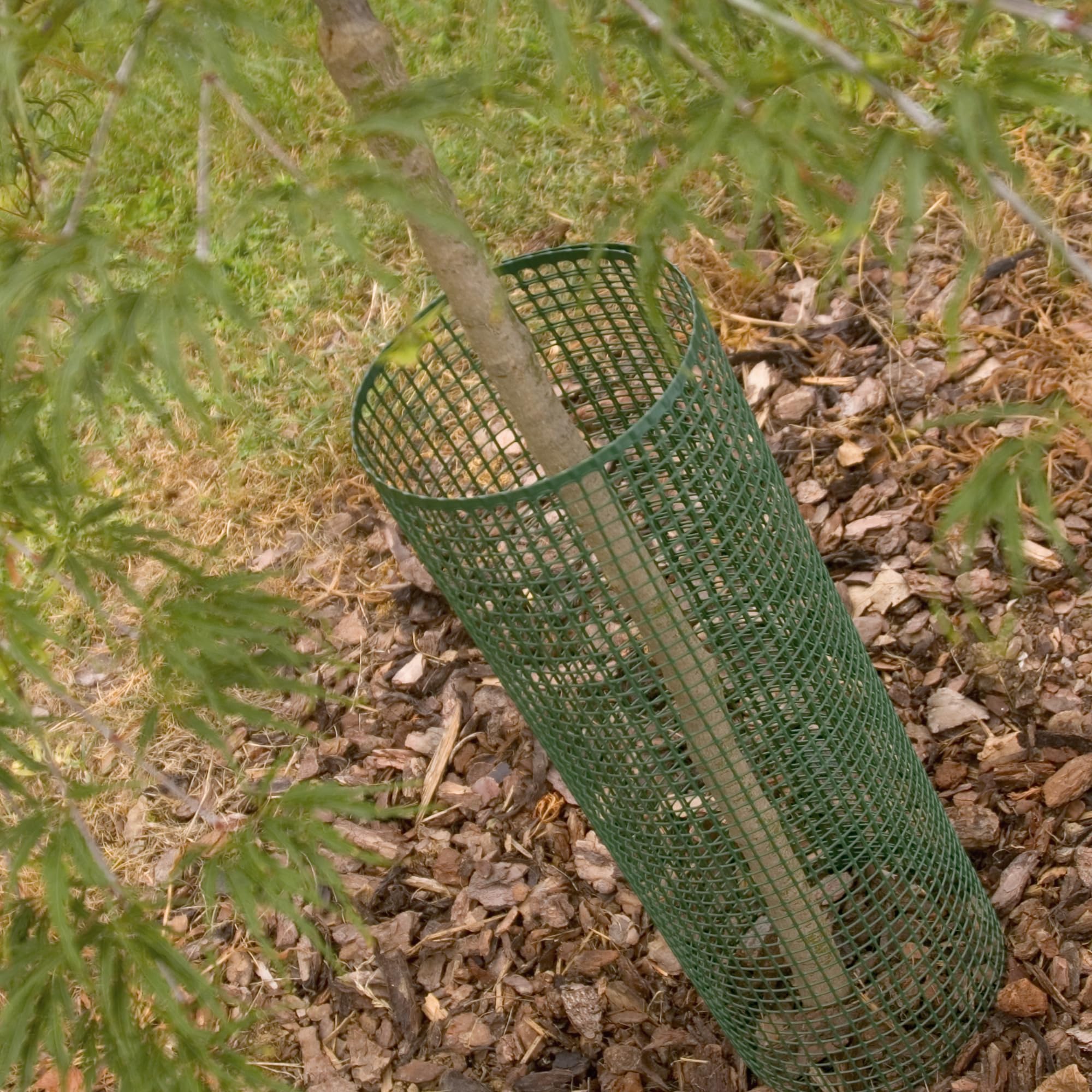 TENAX Quadra 10 Siatka z tworzywa sztucznego zielona 0,50x50 m, wielofunkcyjna siatka ochronna do balkonów, tarasów, bram i ogrodzeń