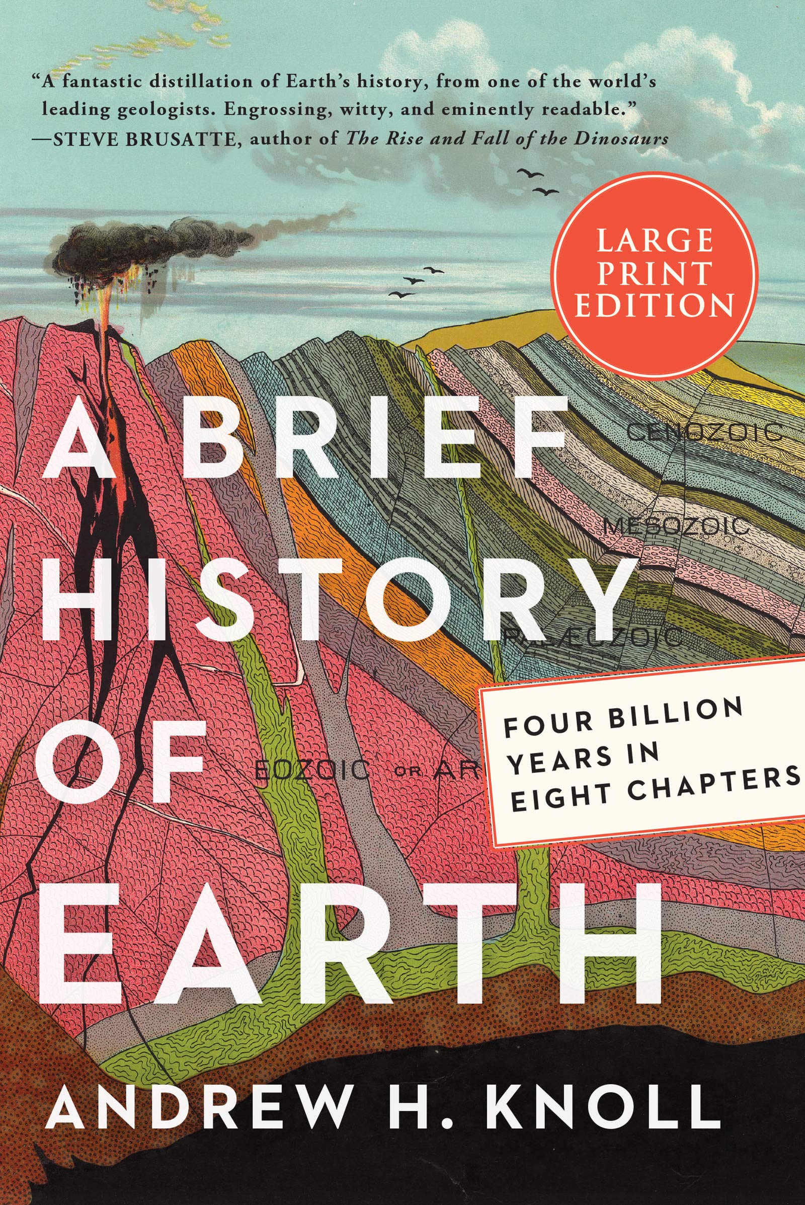 BRIEF HIST EARTH