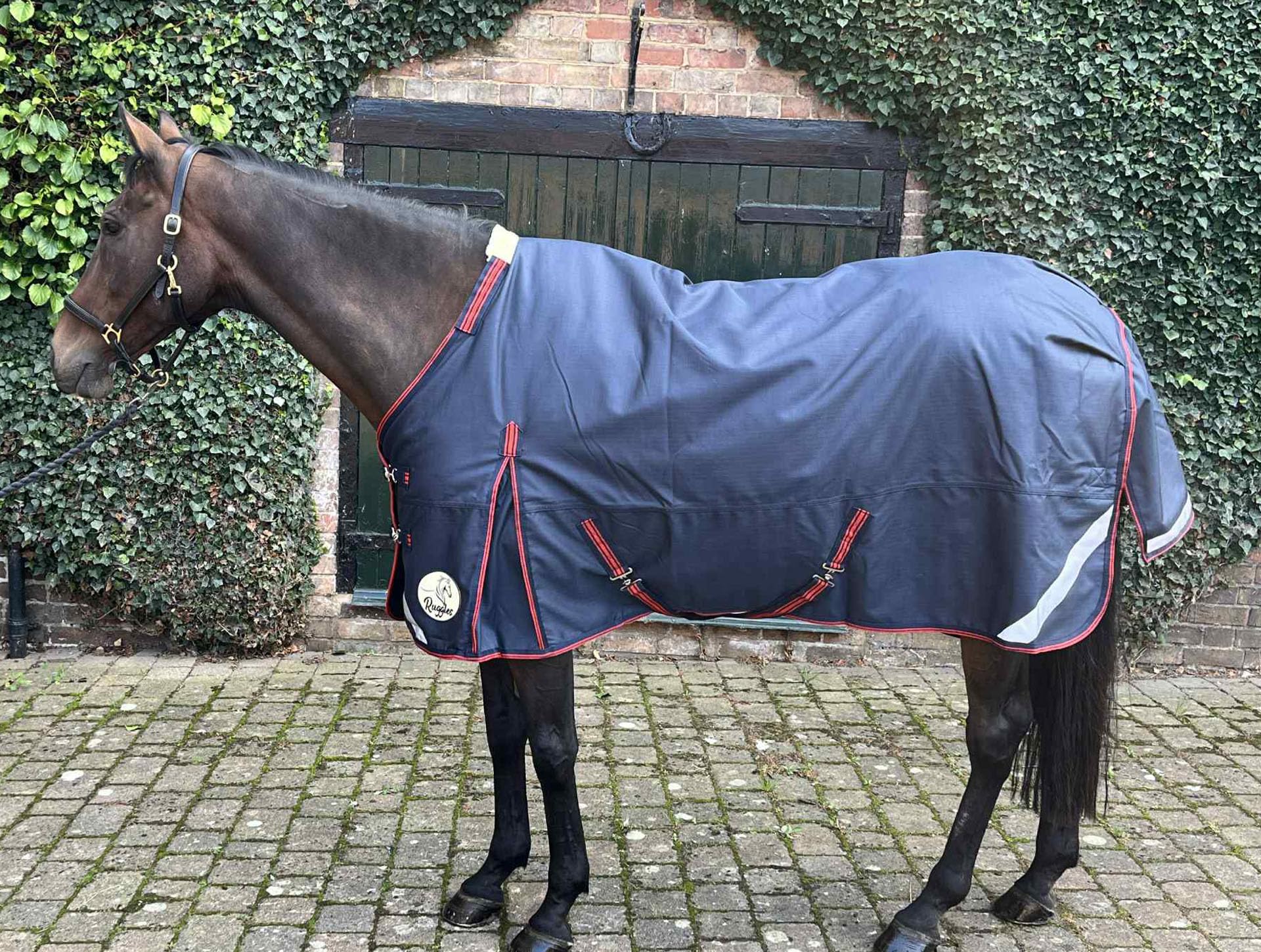 Ruggles 100g Lightweight Turnout Rug for Horse & Pony | Waterproof & Breathable | Durable 1200D Teflon Coated | Excellent Protection in Wet Windy Weather (5' -7') (Navy Blue, 6' 3")