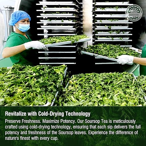 Miniatura 5 de Té de hoja de guanábana  45 bolsas de té  Hojas silvestres de graviolaguanábana, bebida herbal caribeña, sin cafeína, sin OGM, sin gluten