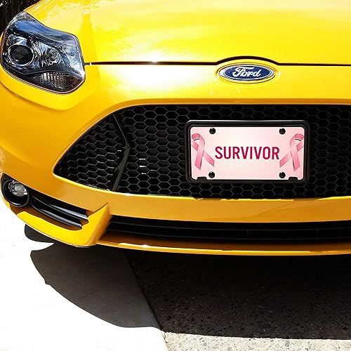 Vista 6 de Placa de matrícula personalizada para automóviles – 12 x 6 pulgadas – Your Text Here, placas de aluminio novedosas – Placas de tocador Peces de Jesús