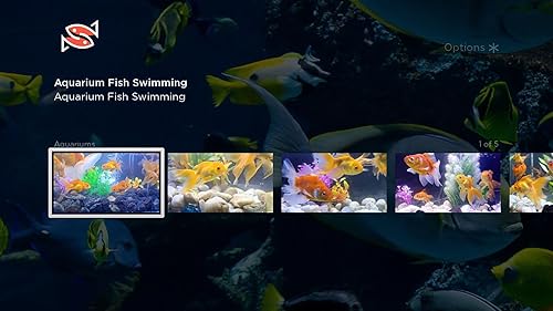 Aquarium Life