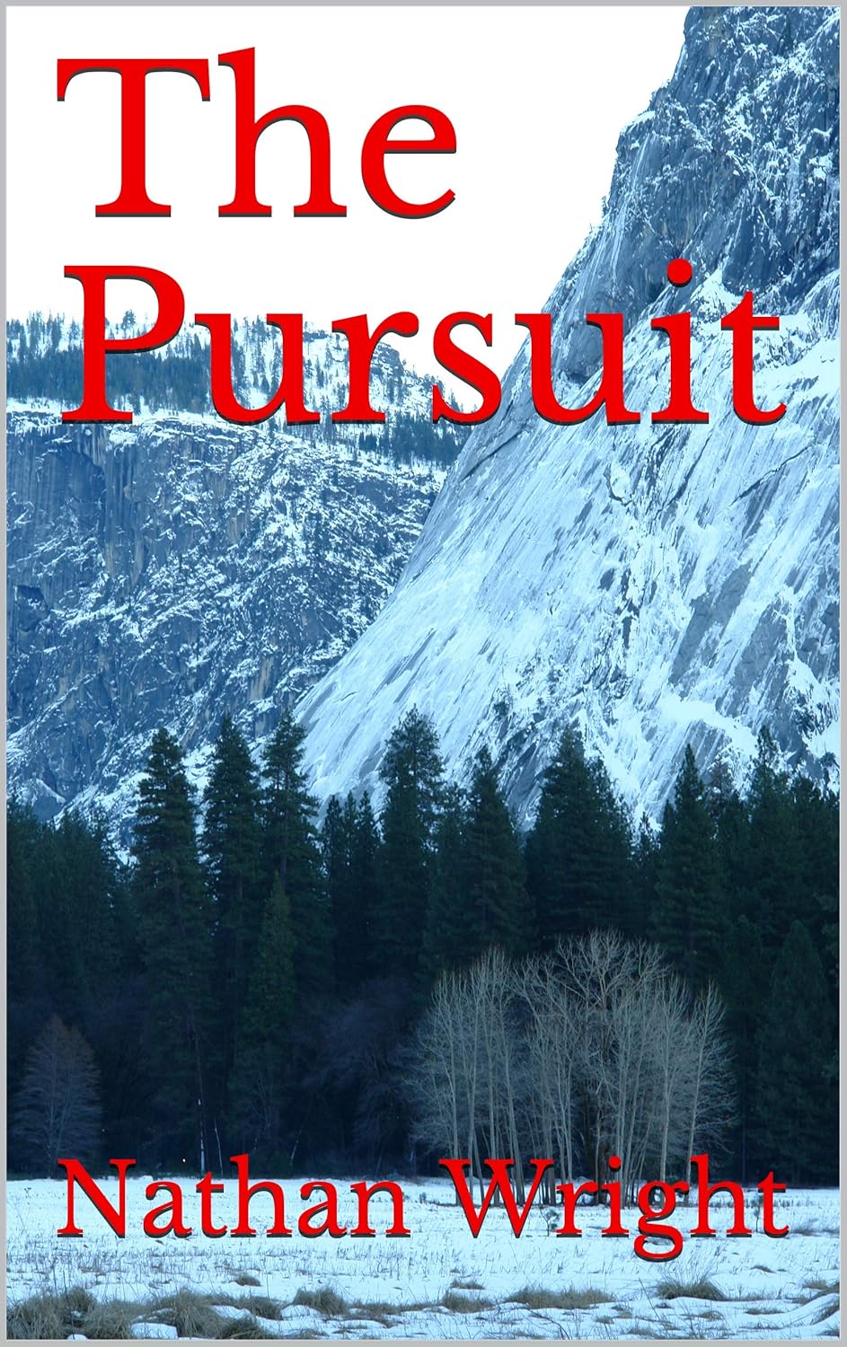 The Pursuit - Kindle edition by Wright, Nathan. Literature & Fiction ...