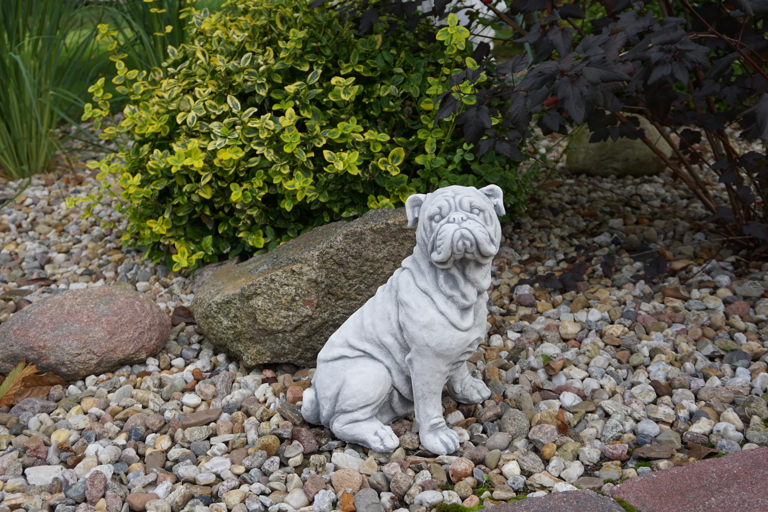 gartendekoparadies.de Bulldog inglese pietra pietra H 32 cm 10 kg grigio antigelo in gres per esterni