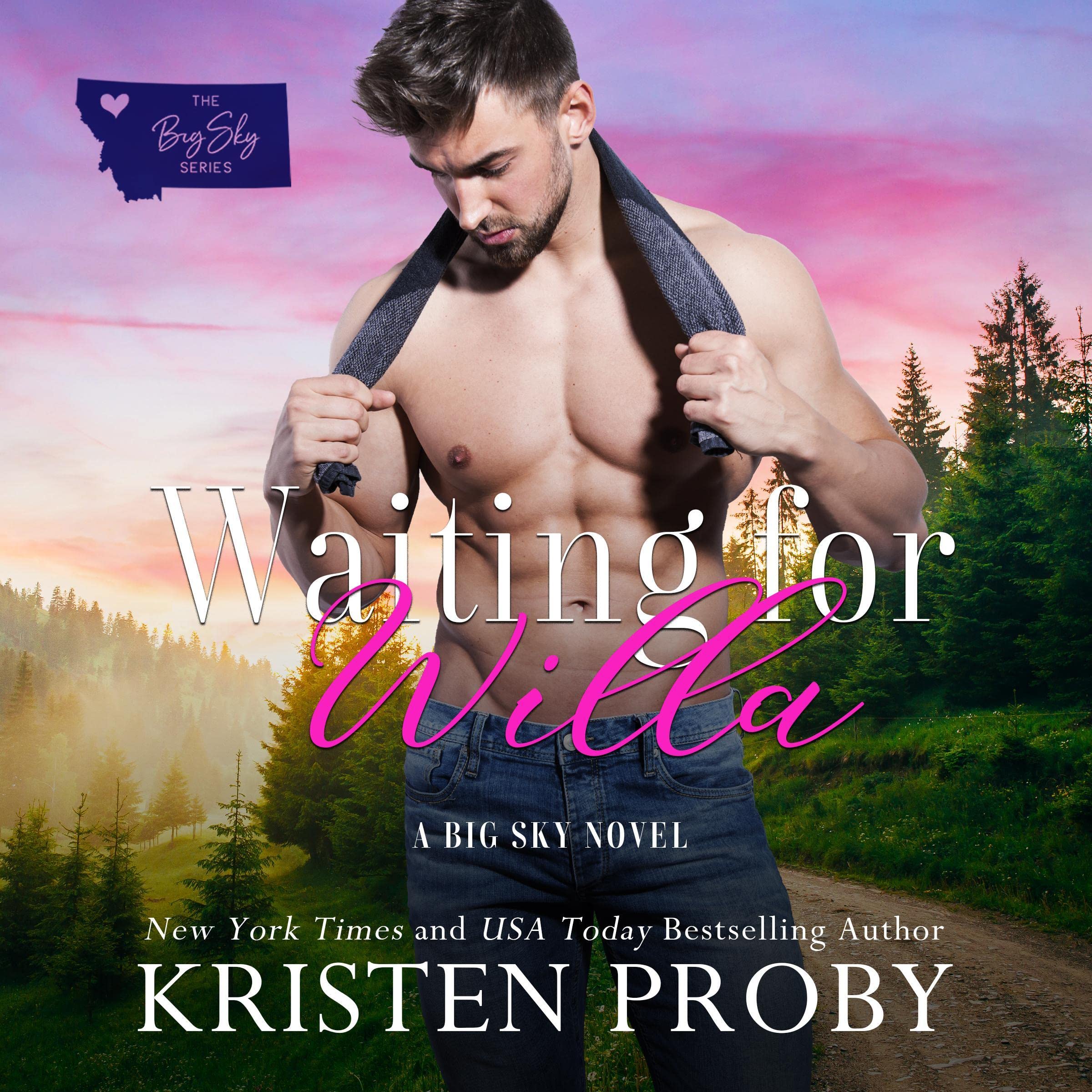 Cover art for Waiting for Willa