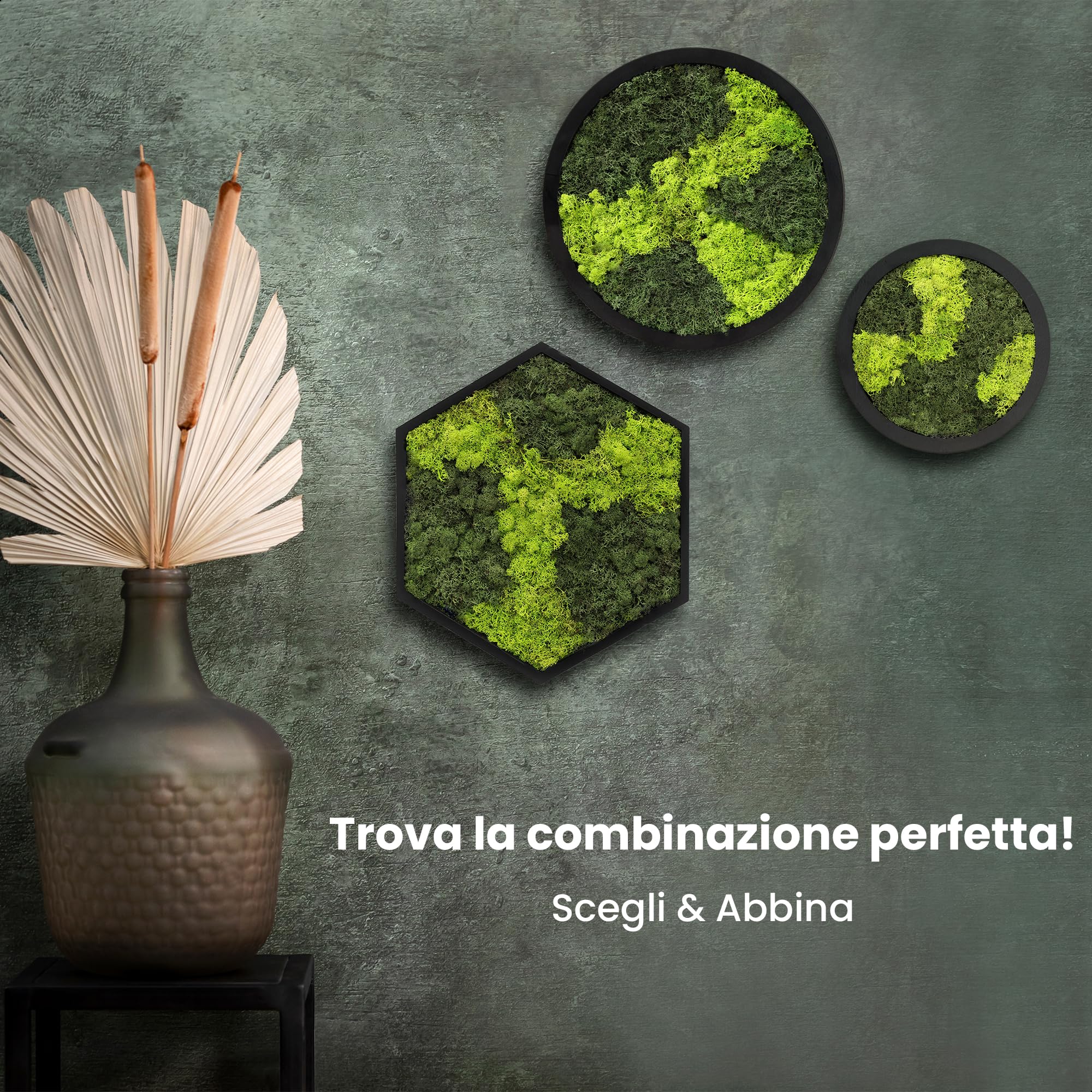 comforder Quadro Muschio Stabilizzato, Esagonale Ø 38 cm, Bicolore