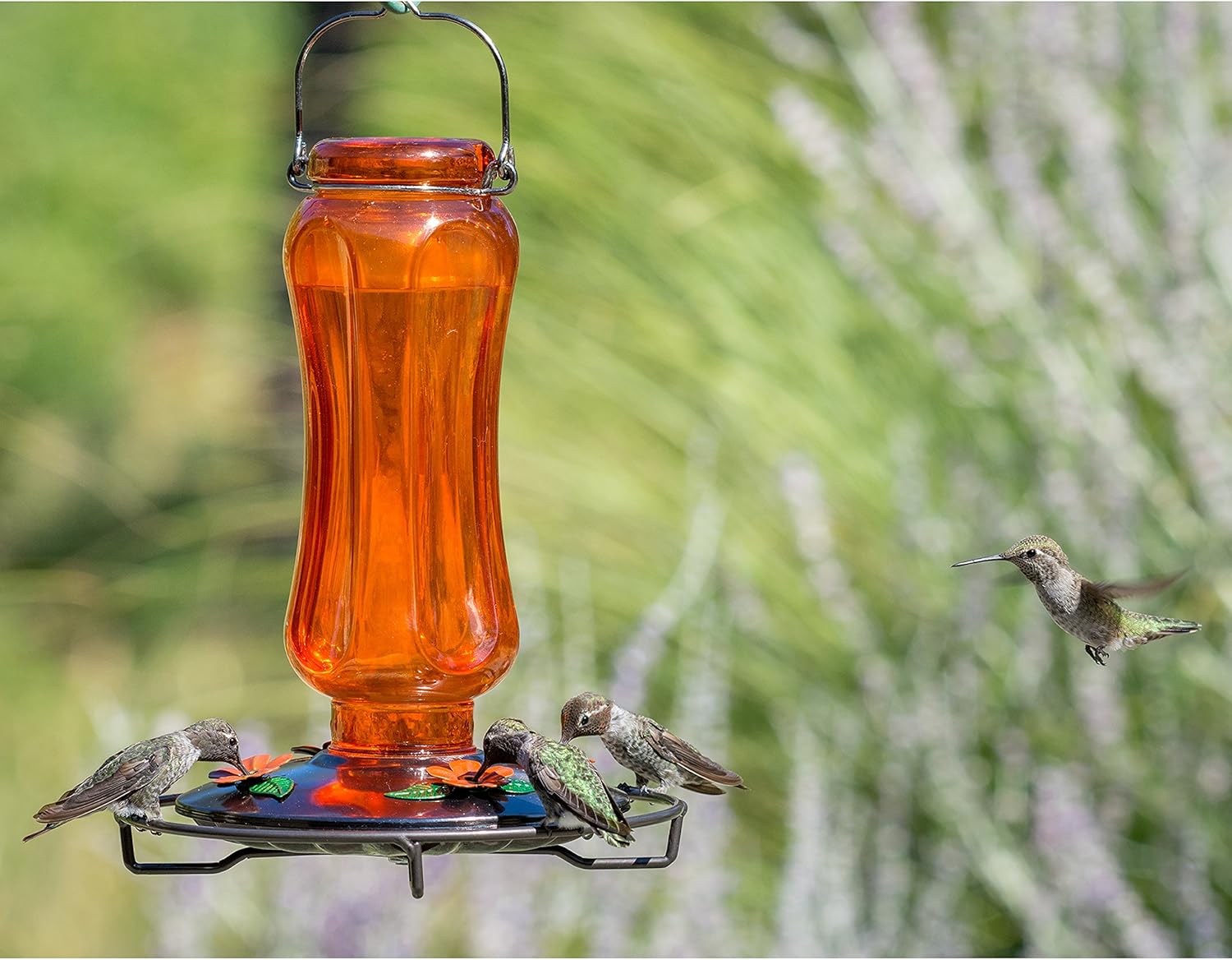 Perky-Pet PP8135 Vintage Carnival Glass Oriole Feeder
