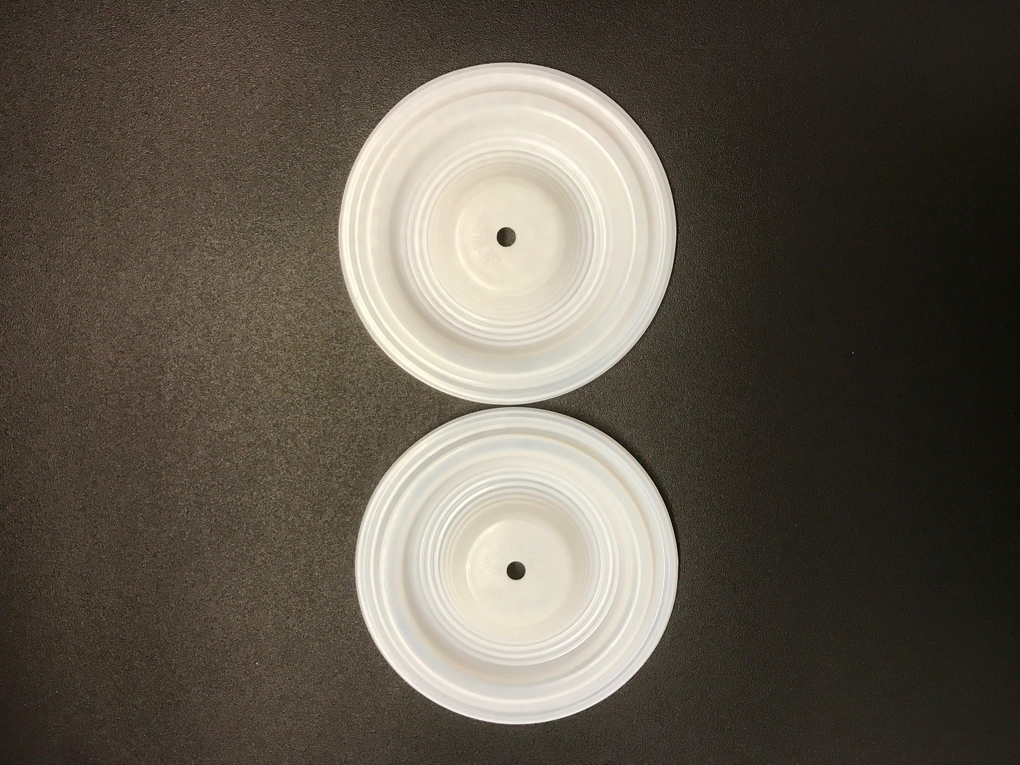 GPI-01-1010-55 Diaphragm, Teflon - Replaces Wilden 01-1010-55 (2 pack)