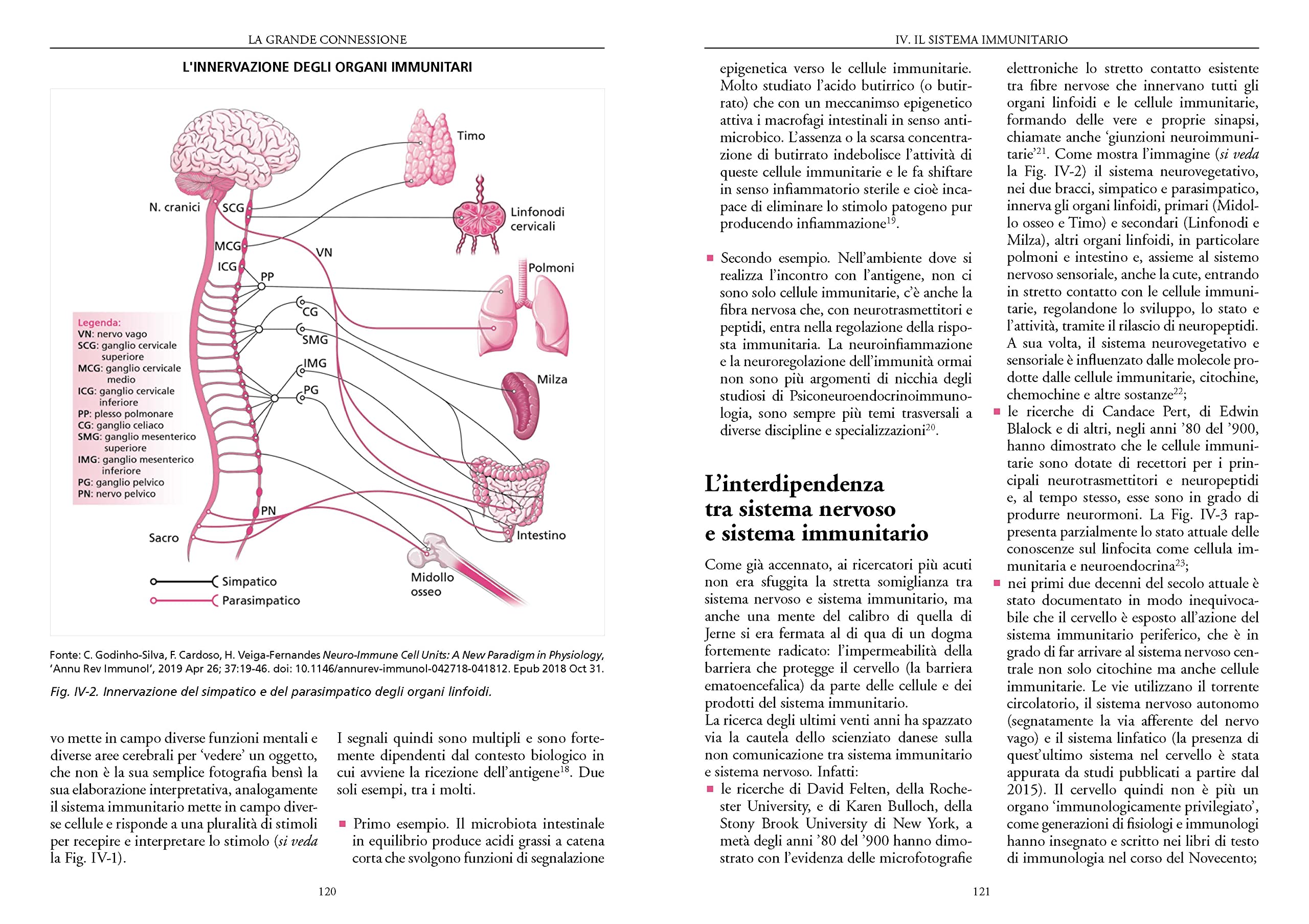 Fondamenti di psiconeuroendocrino immunologia. Introduzione alla scienza che studia le relazioni mente-corpo