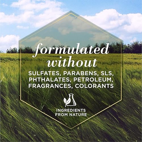 Miniatura 10 de Burt's Bees for Pets Champú calmante natural para picazón con madreselva  Champú para perros antipicazón para todos los perros con piel seca,