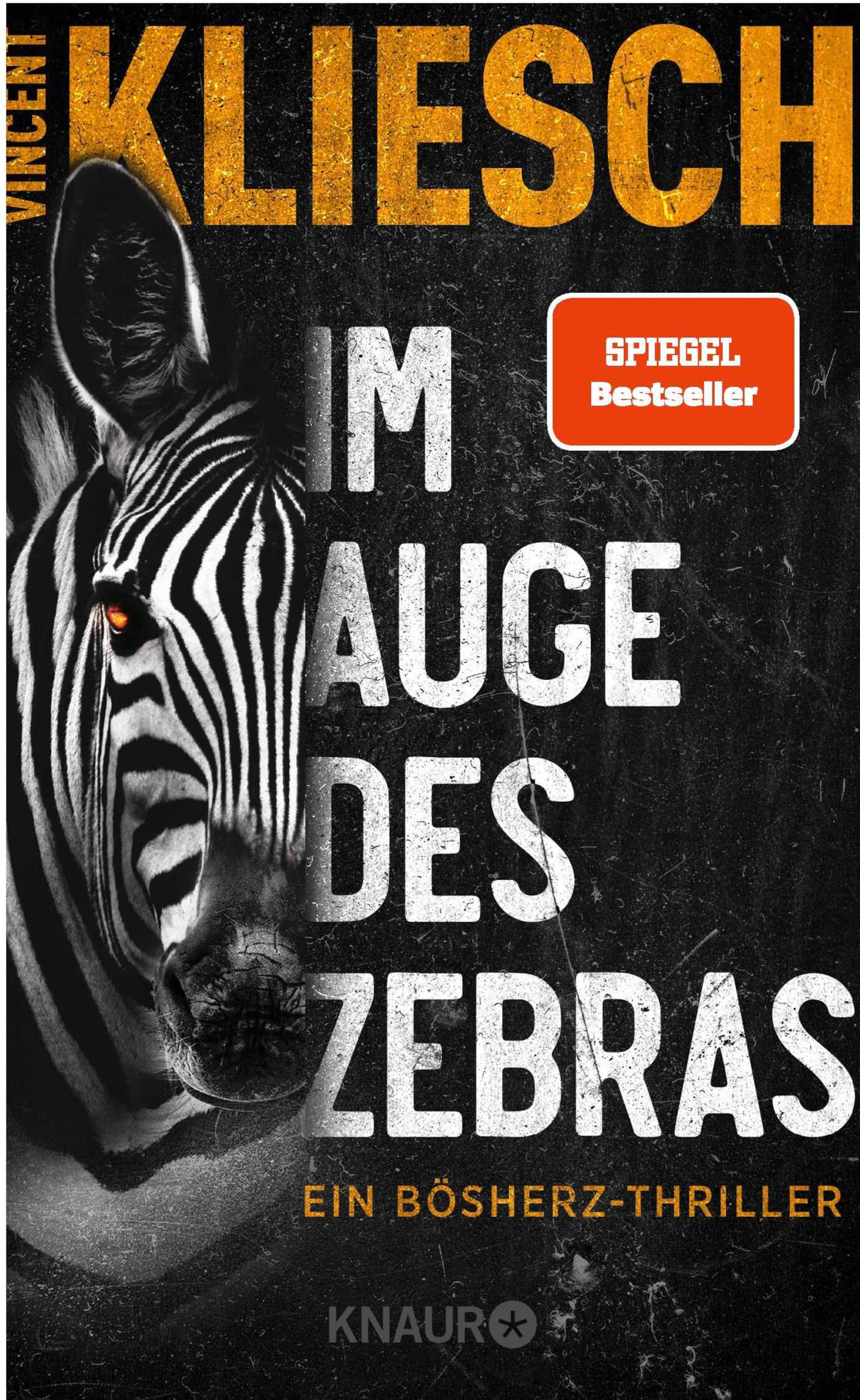 Kindle eBooks ab 0,99€