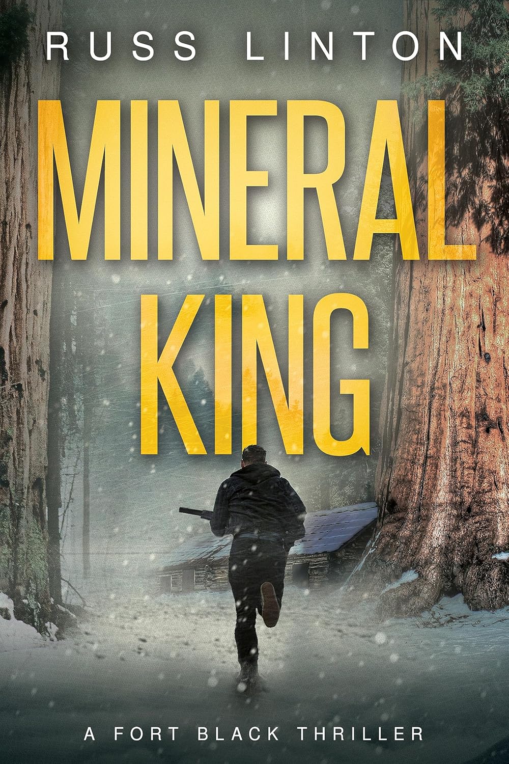 Mineral King (Fort Black Thriller Book 3)