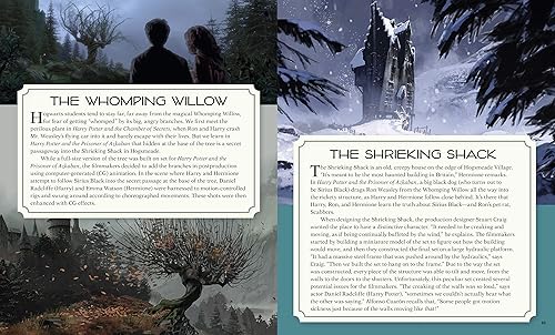 Miniatura 6 de Incredibuilds Harry Potter Time Turner - Rompecabezas de madera 3D y figuras de modelo (15 piezas)  Construye y pinta tu propio juguete de película