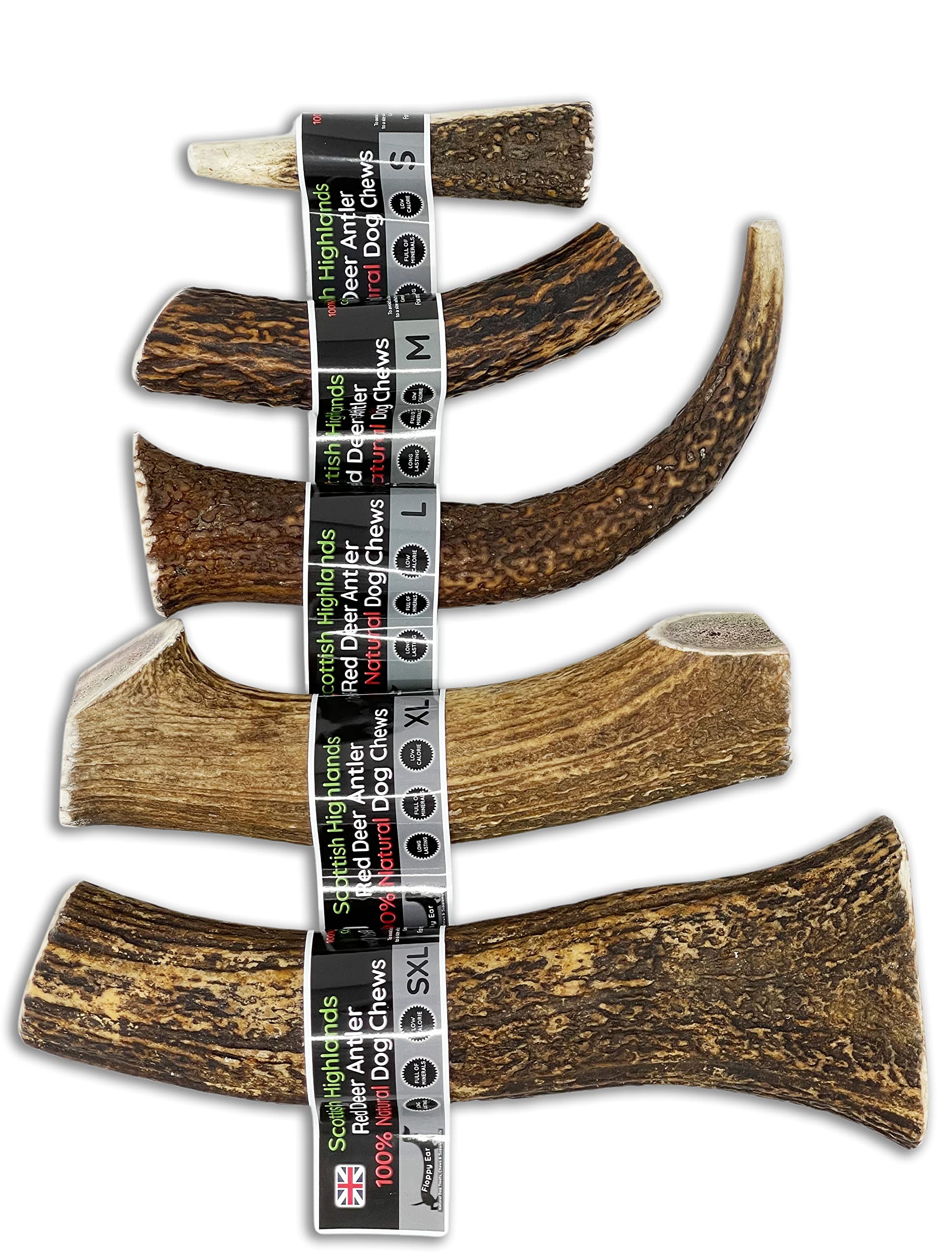 Scottish Deer Antler Dog Chews - Naturally Shed, Long Lasting, 100% Natural… (Deer Antler Chew Medium 90-130g) - Image 2