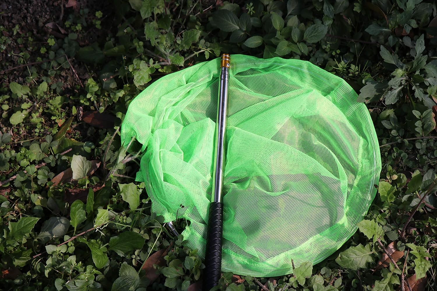 RESTCLOUD Bait Net and Fishing Landing Net with Telescoping Pole Handle Extends to 59 inches (Green) : Sports & Outdoors