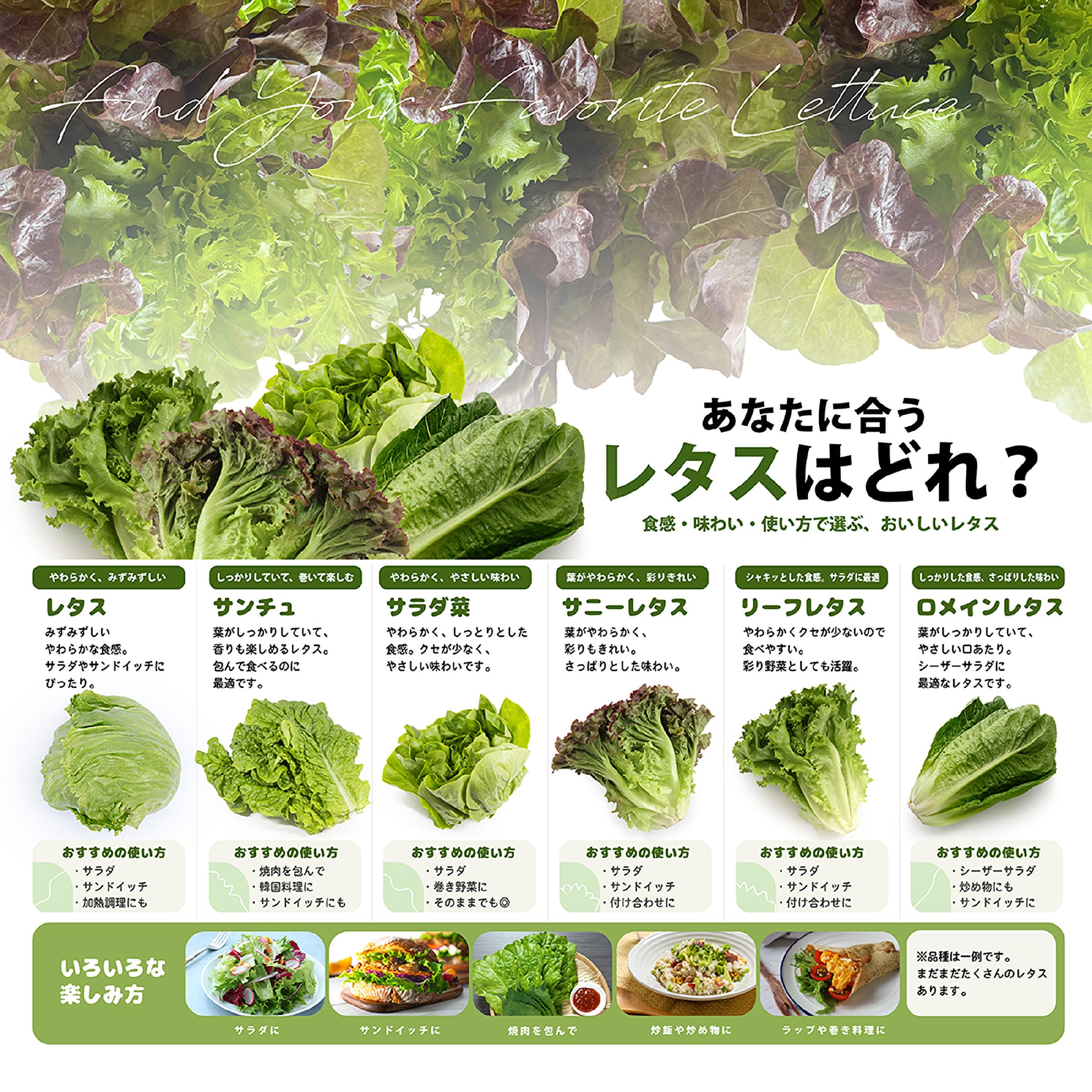 Amazon.co.jp: 国内産 サニーレタス 1パック 120g : 食品・飲料・お酒