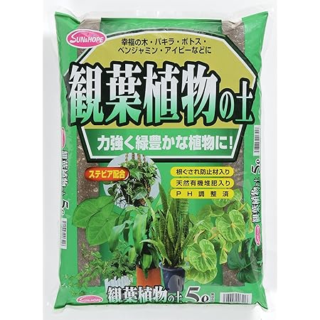 超歓迎 サンアンドホープ 専門用土 サボテン 多肉植物の土 5l 8袋セット き 送料無料 送料無料 力強く肉厚に成長させるために 即納特典付き Ignitegospelchoir Org