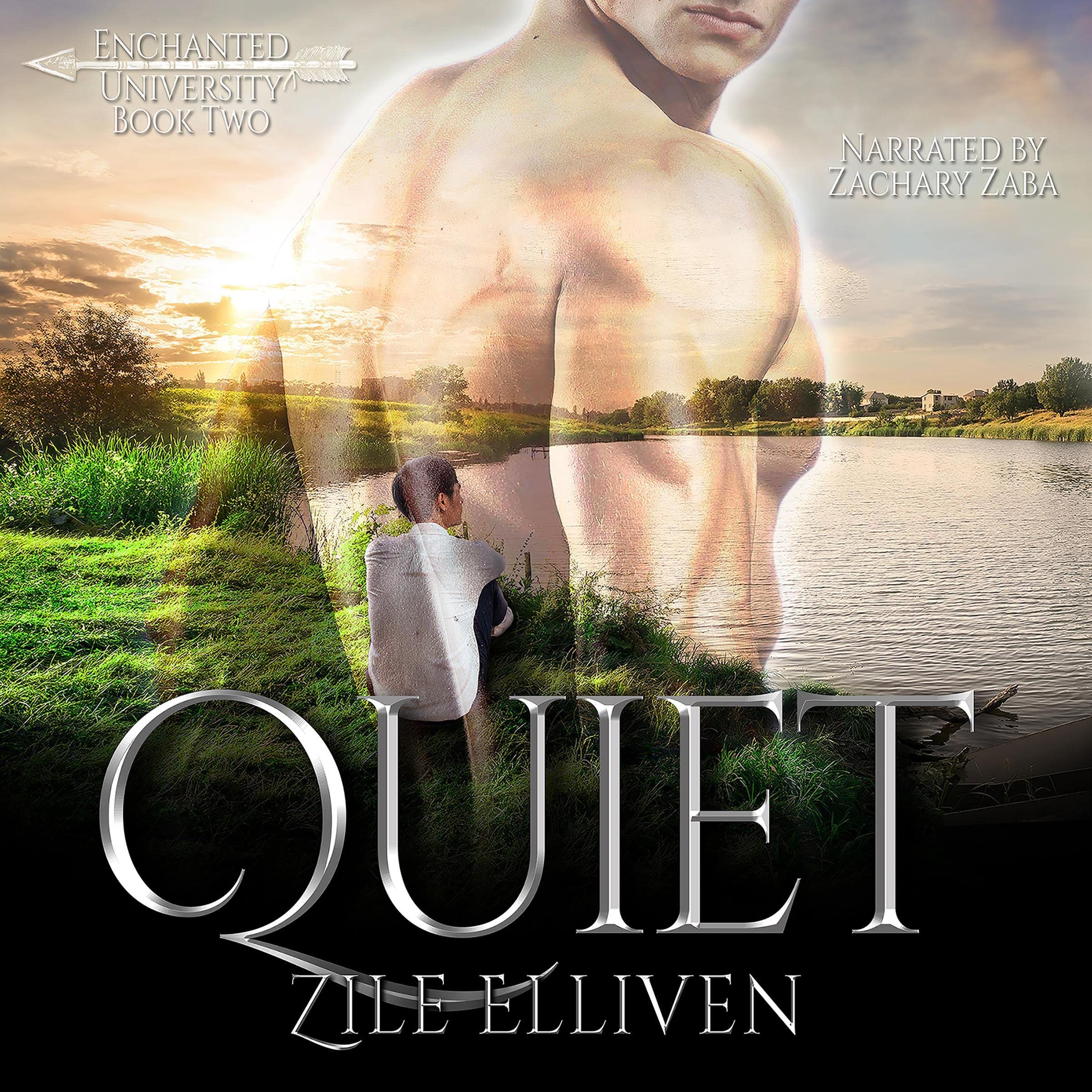 Cover art for Quiet