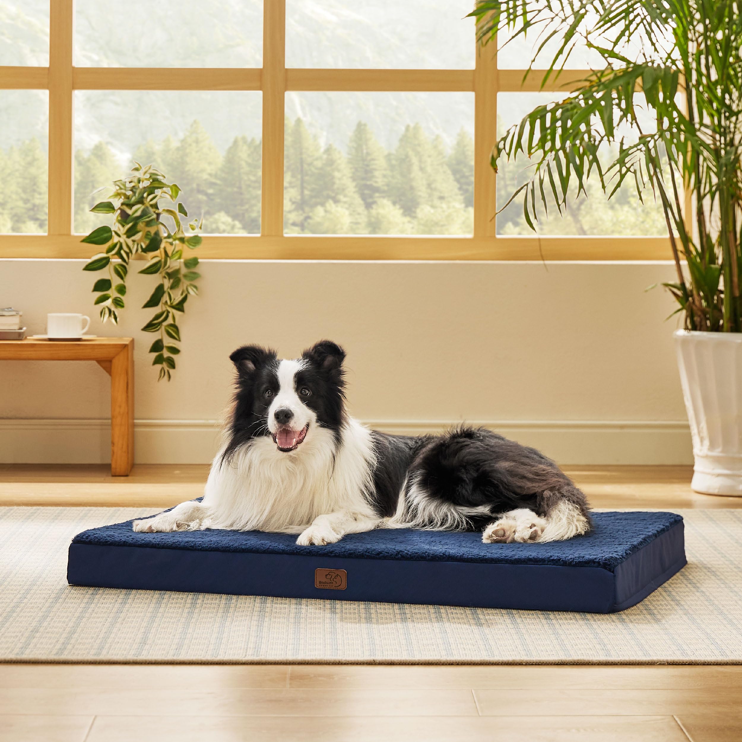 Sofá Cama Para Perros Y Mascotas 2024, Alfombrilla Protectora Suave De Algodón Lavable Y Calmante Para Perros Grand Y Gatos, Varios Color S XXL De 20,48 € | DHgate
