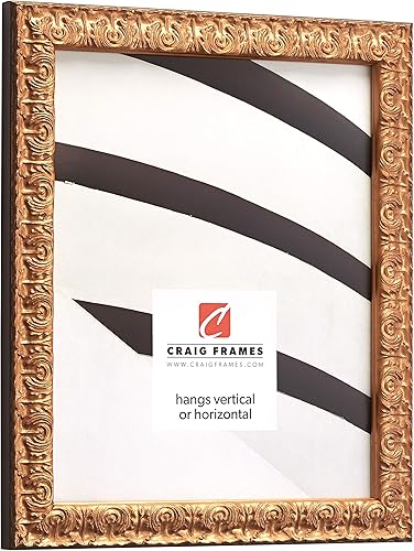 Miniatura 9 de Craig Frames Versailles - Marco de fotos, 24 x 36 pulgadas, color plateado